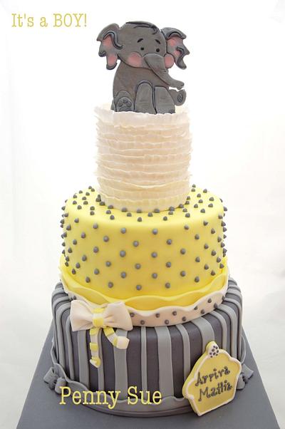Baby Elephant - Cake by Paola Manera- Penny Sue