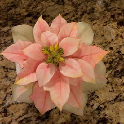 Pink Poinsettia - Cake by Theresa