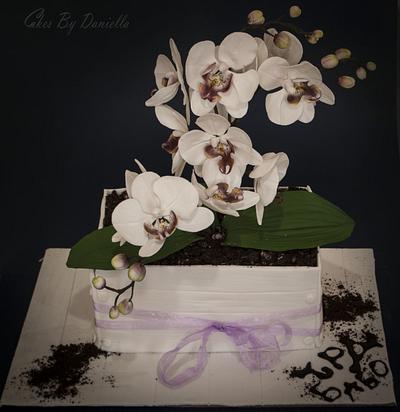 Orchid Phalaenopsis cake - Cake by daroof
