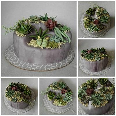 Succulents - Cake by Anka