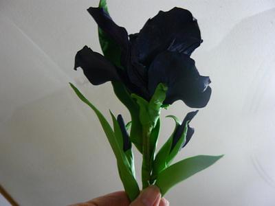 finished black iris's  > no flower cutters used, < - Cake by gail