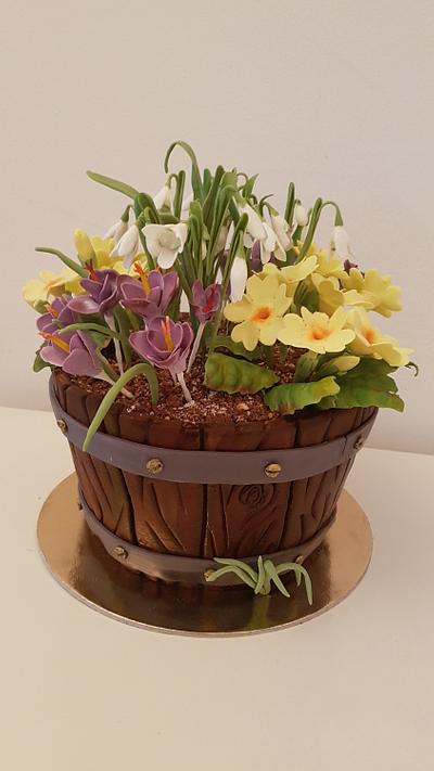 Flowers in a bucket - Cake by iratorte