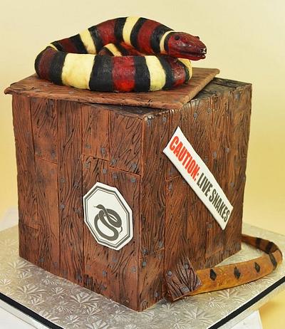 Reptile Trio - Snake - Cake by Jenniffer White
