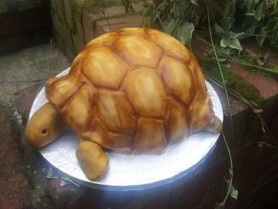 Tortoise cake - Cake by carla15