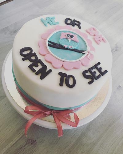 Gender reveal cake - Cake by Jenny's Cakery 