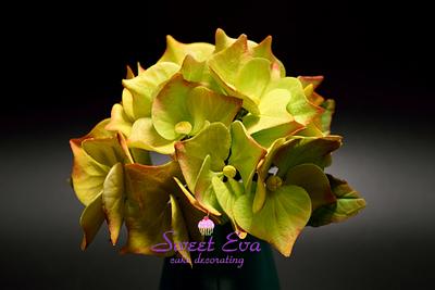 My hydrangea  flower - Cake by ana ioan
