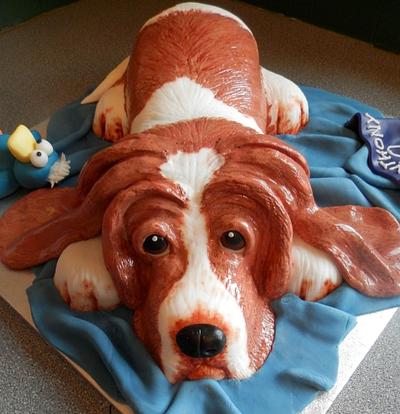 Bassett Hound and his favourite toy - Cake by barbscakes