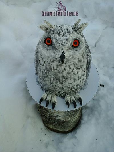 sibirian owl cake - Cake by Christiane Offenbächer 