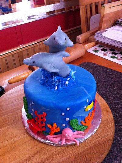 Dolphin cake - Cake by Melissa Cook