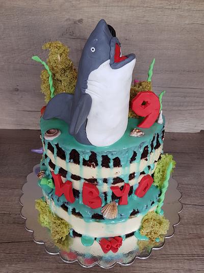Shark - Cake by Alice