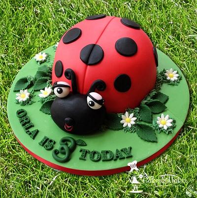 Ladybird 3rd birthday cake - Cake by Tammy Barrett