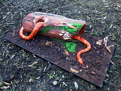 Away with the fairies, snake - Cake by Purple Feather Cake Design