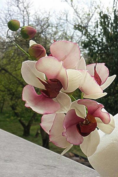 orchidee - Cake by ANTONELLA VACCIANO