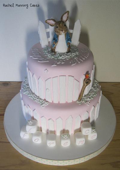 Peter Rabbit Beatrix Potter Cake - Cake by Rachel Manning Cakes