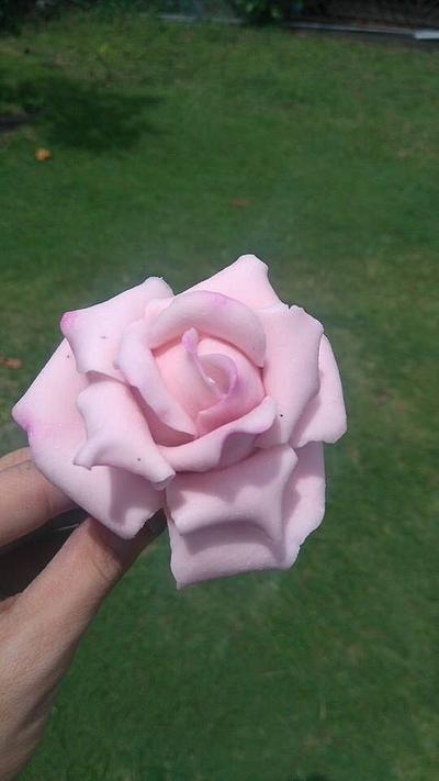 Blush Pink Sugar Rose  - Cake by Daniel Guiriba