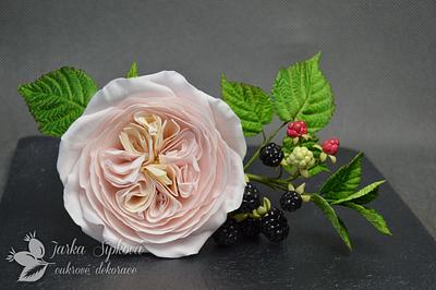 Austin Roses, raspberry, blackberry - Cake by JarkaSipkova