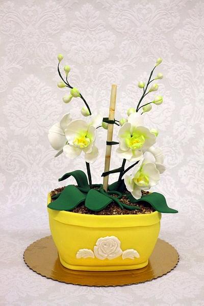 Orchid pot cake - Cake by Lina