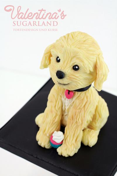 Dog made with modelling chocolate - Cake by Valentina's Sugarland