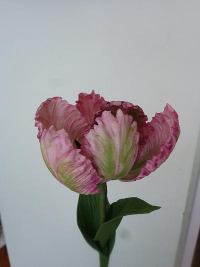 Parrot tulip - Cake by Patricia M
