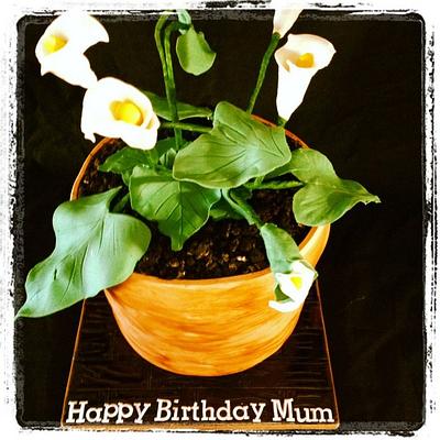 Calla Lily pot - Cake by Lesley