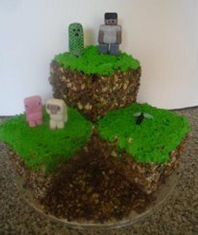 Minecraft Cake - Cake by Chantal O'Brien