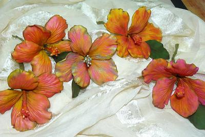5 Hibiscus sugar flowers - Cake by gail