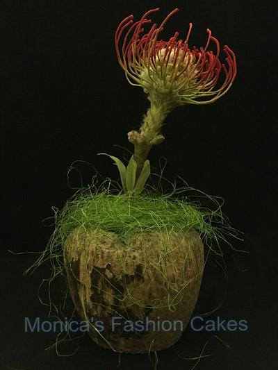 south african protea flower... hand made - Cake by Monica's Fashion Cakes 