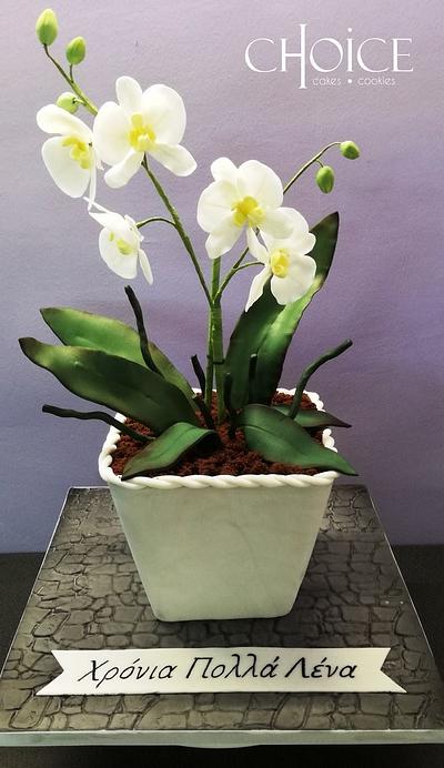 Phal Orchid Cake - Cake by Choice