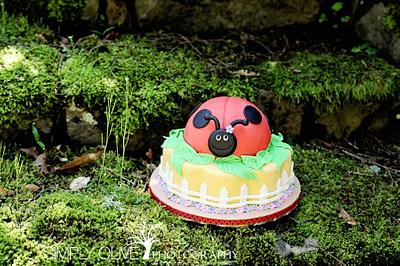 Ladybug cake  - Cake by Reni Hendra