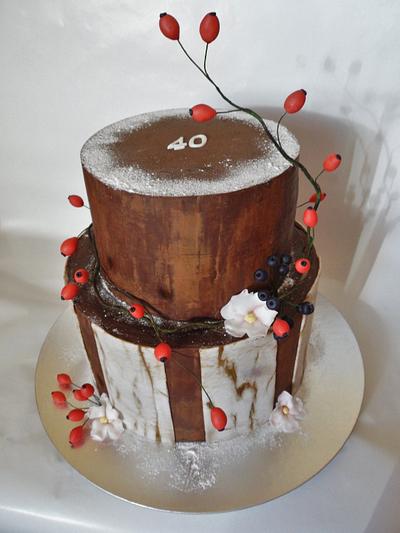 Chocolate cake - Cake by Veronika