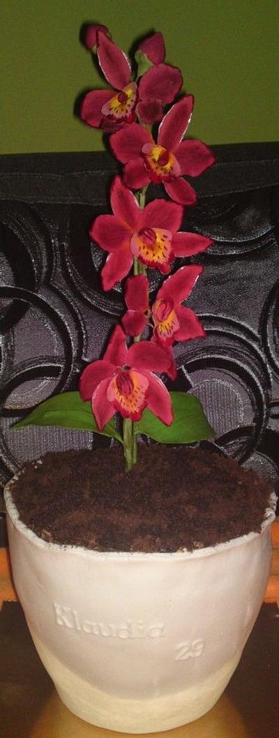 Orchid in a pot. - Cake by Majjja19