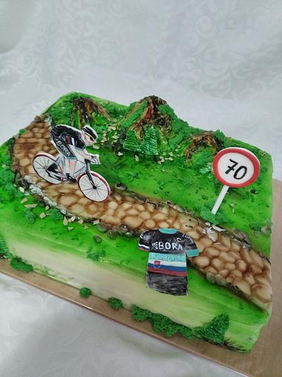 Cycling cake - Cake by Vebi cakes