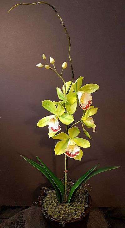 Cymbidium Orchid - Cake by Lori Snow