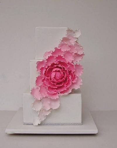 Pink - Cake by Louisa Massignani