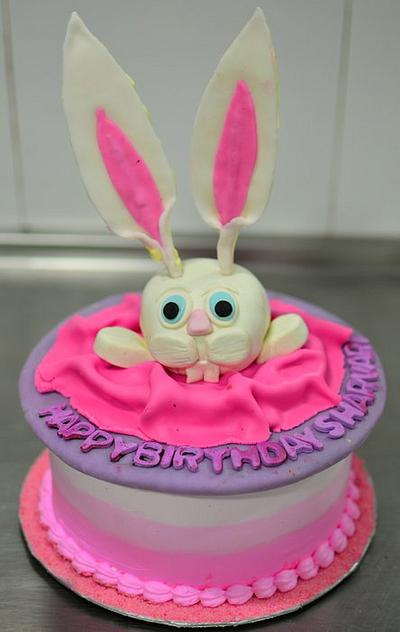 Bunny Cake  - Cake by KnKBakingCo