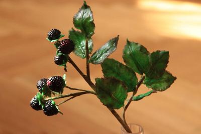 blackberry gumpaste - Cake by Jiřina Matějková