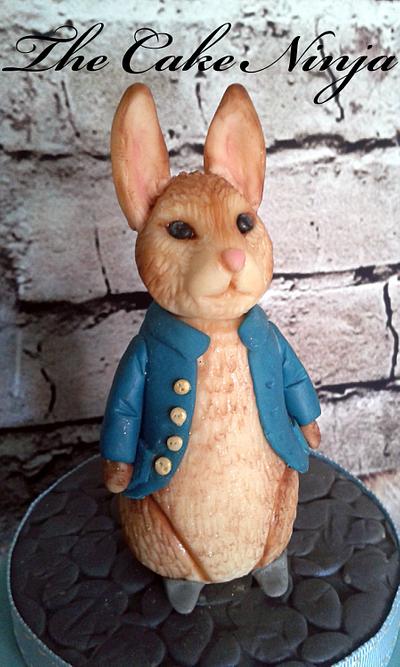 Peter Rabbit Topper - Cake by Tiddy