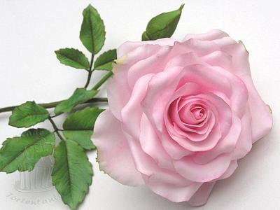 Pink rose - Cake by Monika