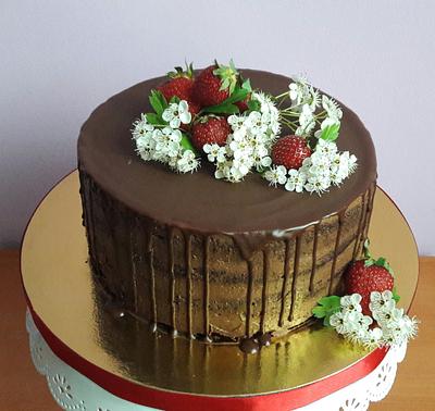 Chocolate cake - Cake by Mariya Gechekova