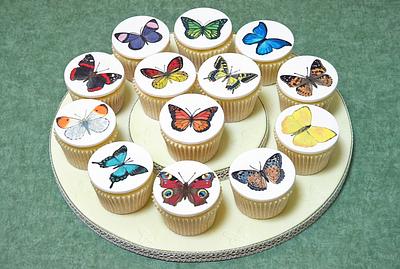 Old Curiosity Collaboration - butterflies - Cake by The Chain Lane Cake Co.