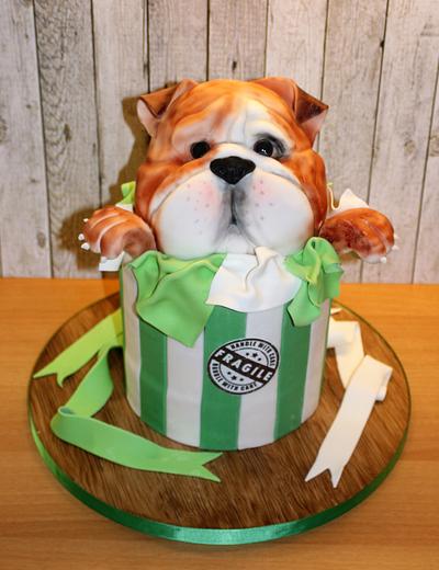 Ted the bulldog - Cake by WhenEffieDecidedToBake