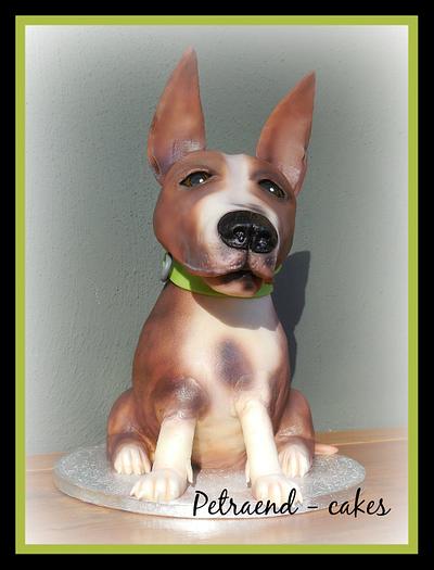 Staffordshire - Max - Cake by Petraend