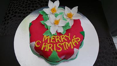 Star of Bethlehem cake - Cake by JudeCreations