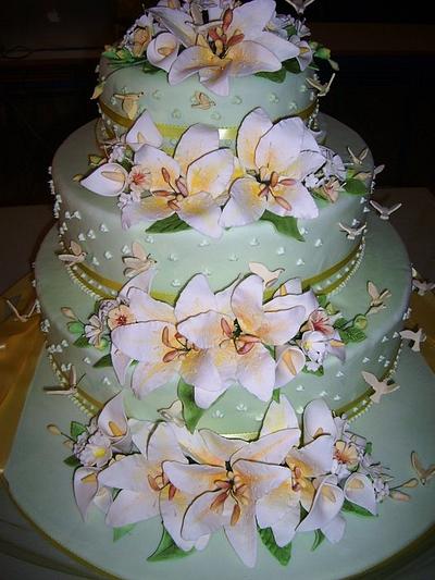 wedding cake 2011 - Cake by sugardiver62