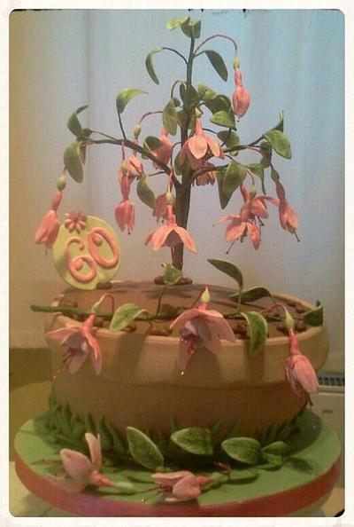 Fuchsia pot birthday cake - Cake by Catherine