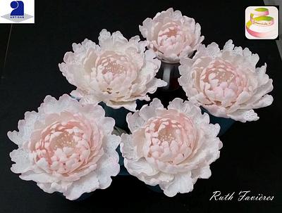 Only peonies - Cake by Ruth - Gatoandcake