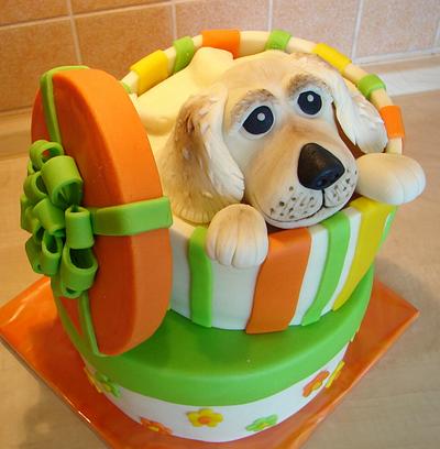 box cake with dogie - Cake by MarcelkaS