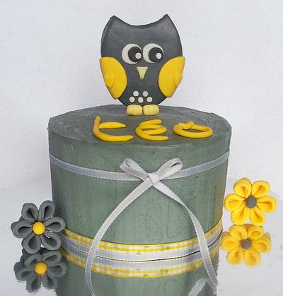 Baby Shower - Owl Cake - Cake by miettes