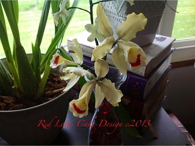 Cymbidium Orchids - Cake by Jennie 