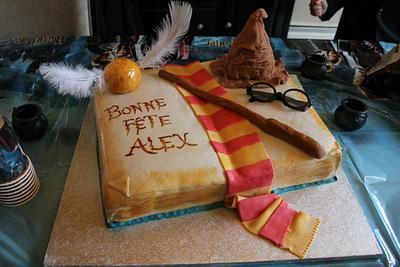 Harry Potter Cake - Cake by Frostilicious Cakes & Cupcakes